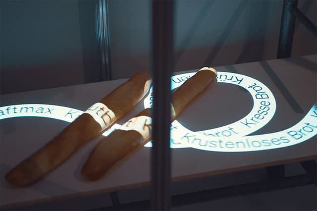 Thumbnail of Die Letzten ihrer Ar t