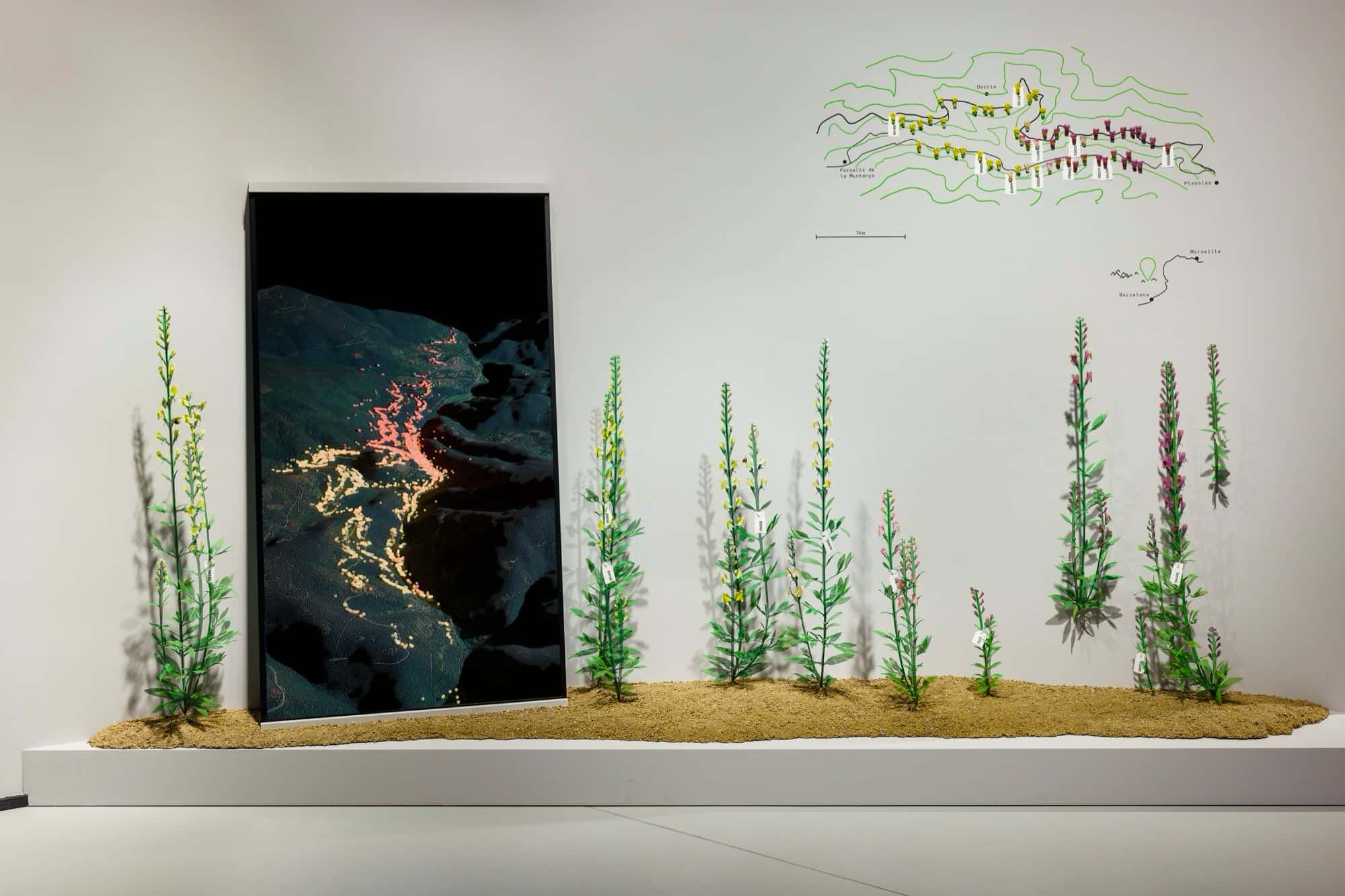 Exhibition view of the "Science in the Making" exhibition; Frontal view of the Snapdragon installation, a vertically placed monitor resting on a shallow pedestal on which wire models of the Snapdragon flowers are placed. On the wall behind there is a minimalist map of the region."