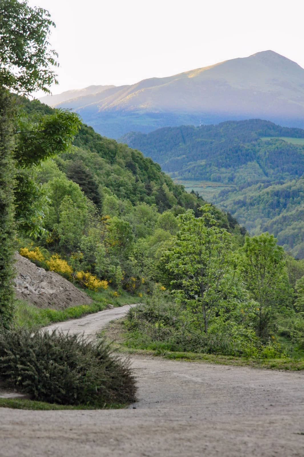 Photo of the Landscape of the Andorra Region; a winding mountain road opening up into a valley surrounded by lush green mountains in the sunset. 