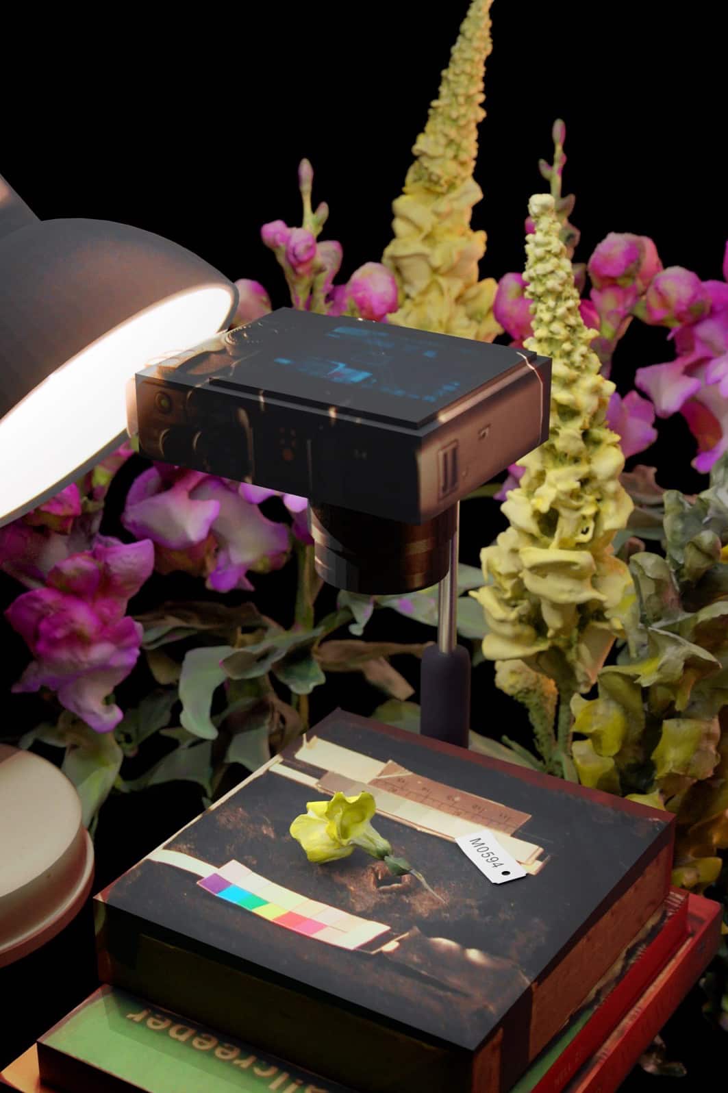 Render of the researcher's desk, photographing the snapdragon blossoms.