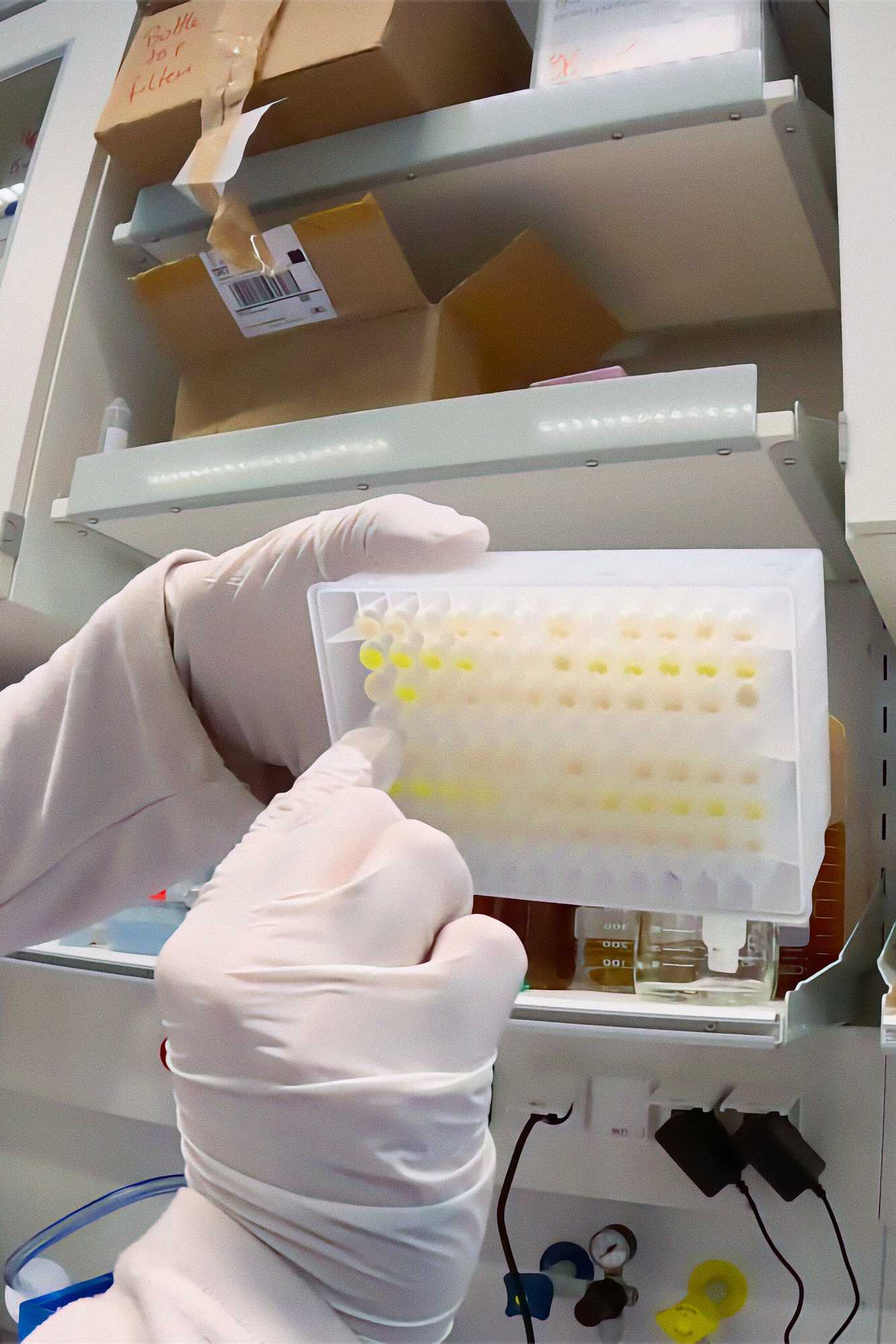 Portrait of Florian Praetorius discussing protein structures